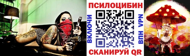 darknet официальный сайт Нижние Серги Галлюциногенные грибы прущие грибы